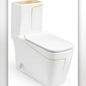 Luxury Modern Toilet